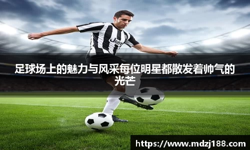 星空综合股份(中国)