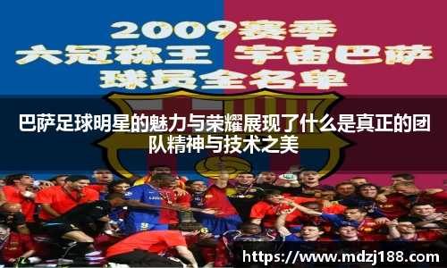 星空综合股份(中国)