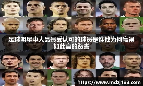 星空综合股份(中国)